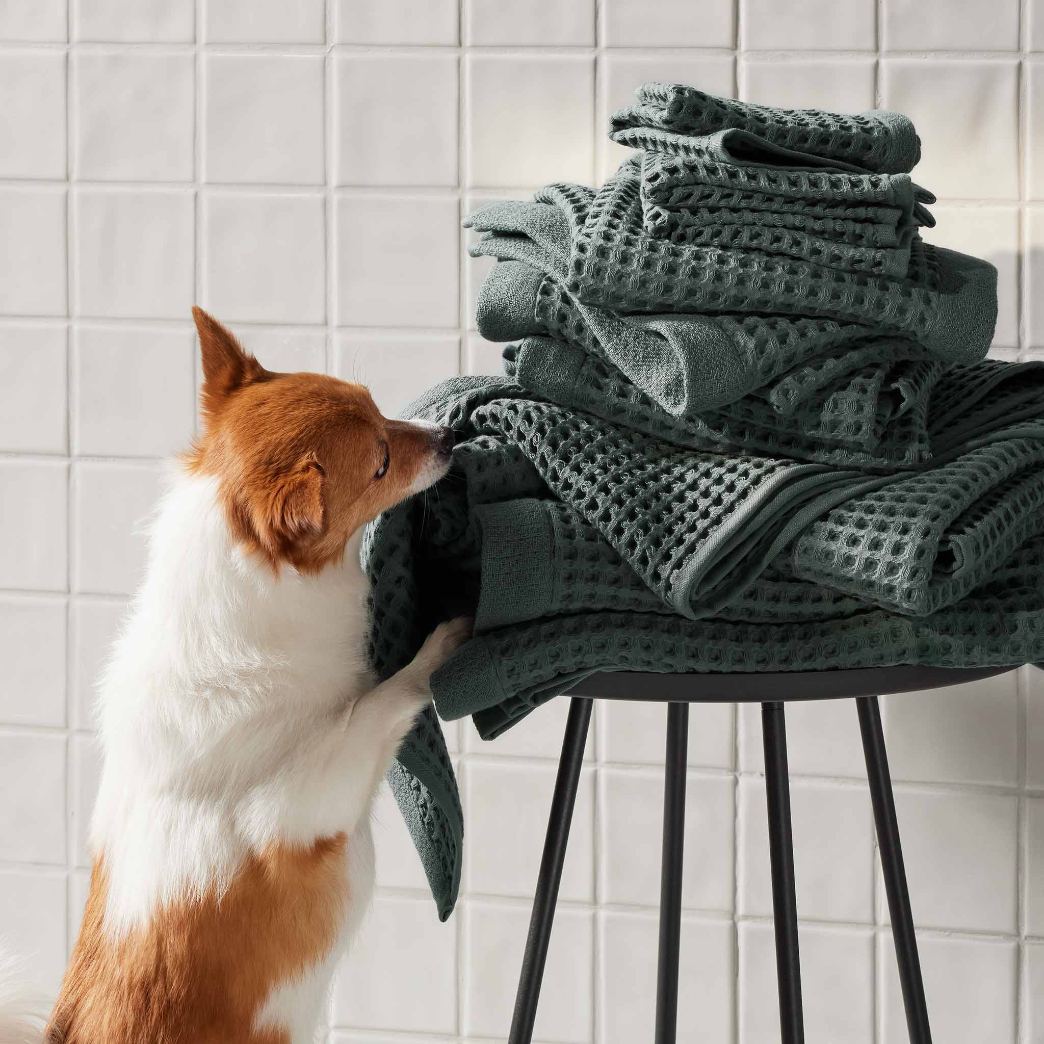 Dreamweave Waffle Bath Towels Set of 2 Y7