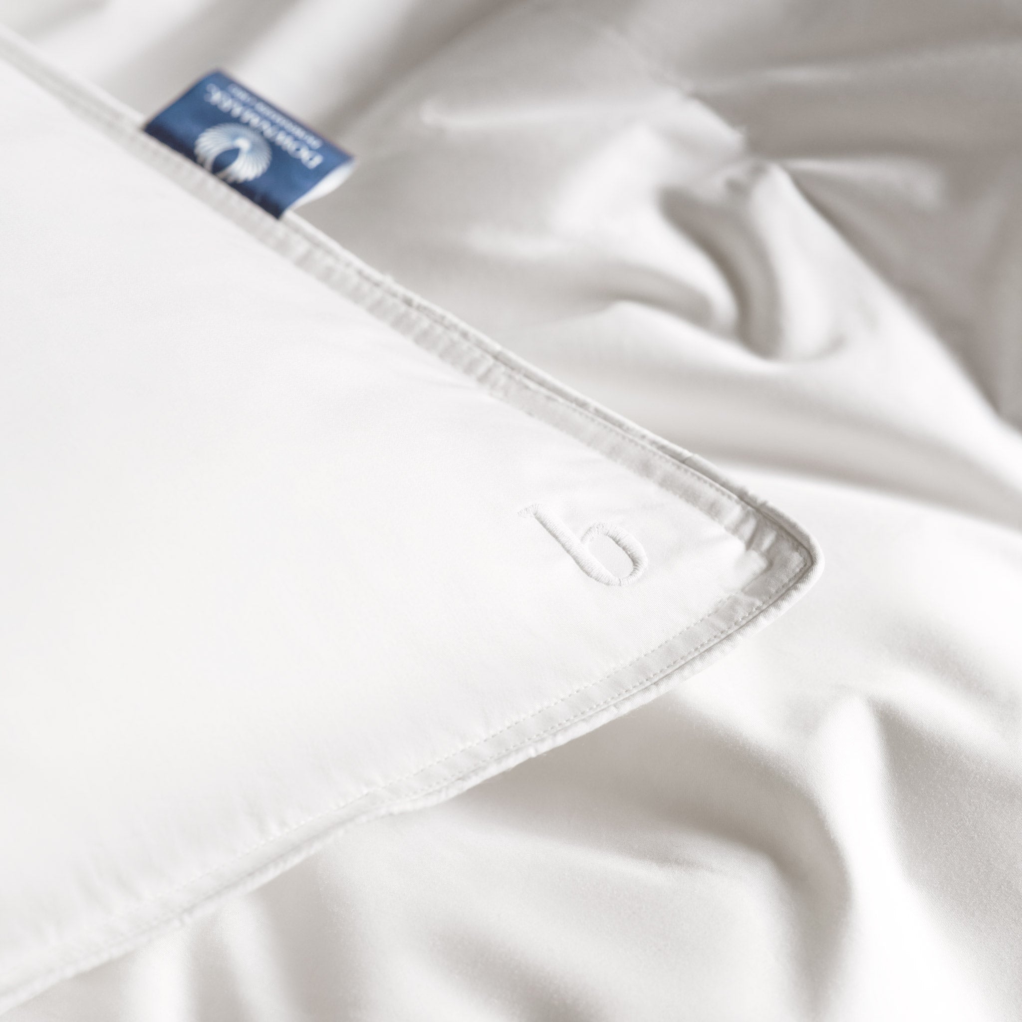 Down Pillow E2