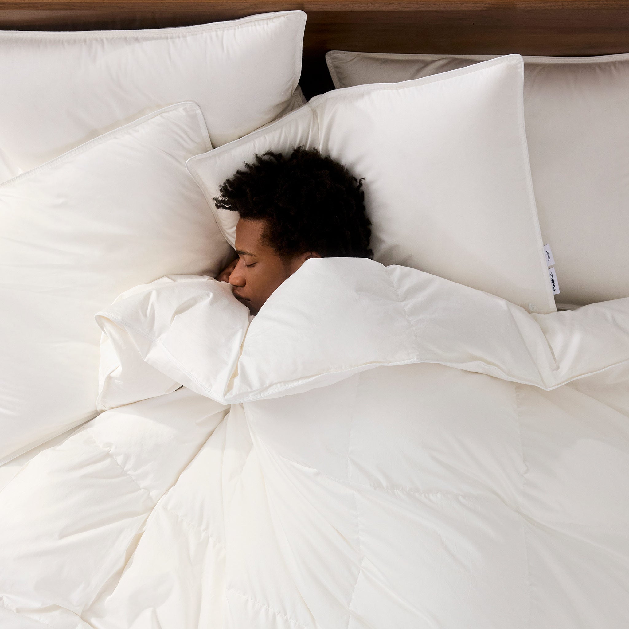 Down Pillow E2