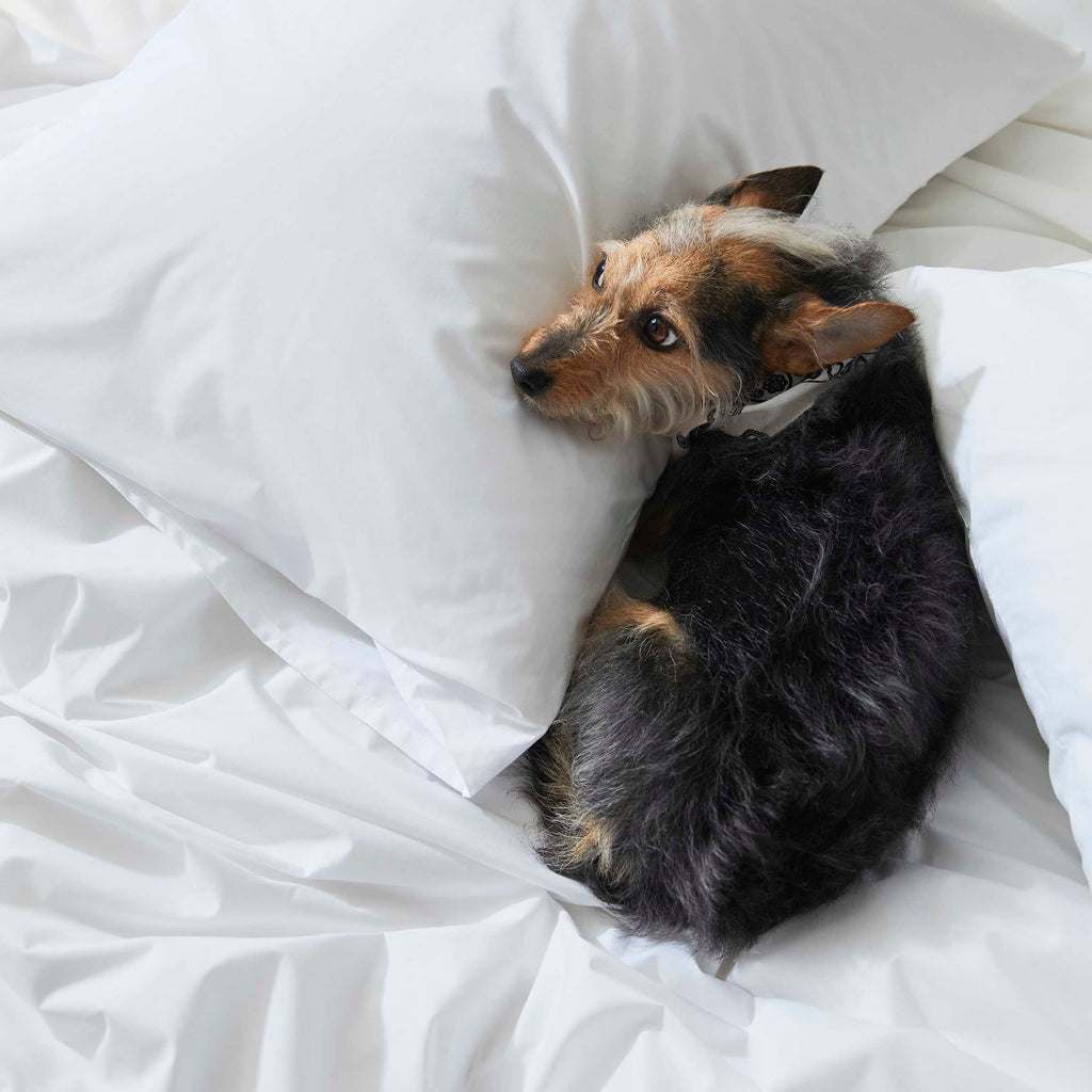 Classic Percale Duvet Cover N0