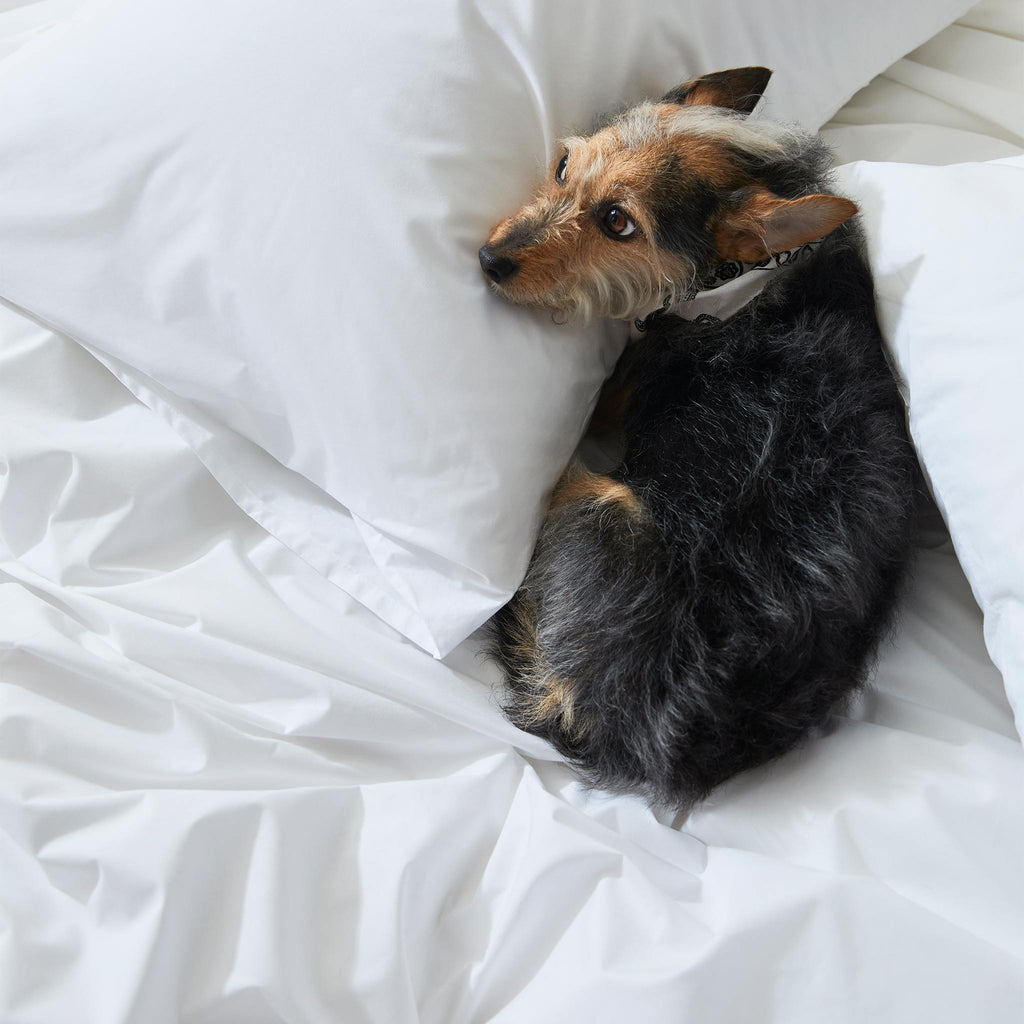 Classic Percale Core Sheet Set G2